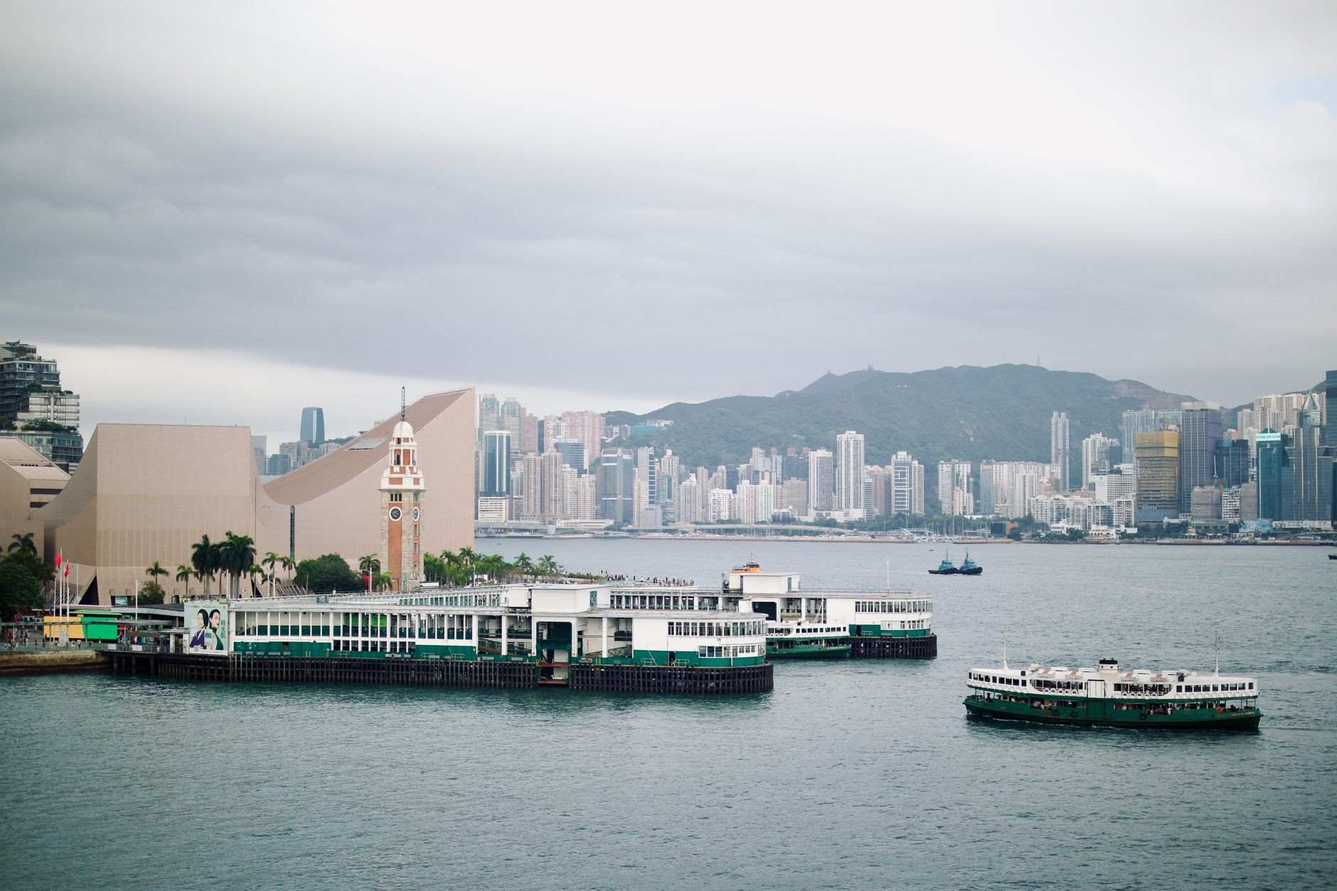 Navigating Hong Kong Relocation: Strict Pet Regulations and Robust Government Support Networks